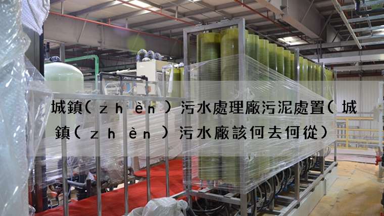 城鎮(zhèn)污水處理廠污泥處置(城鎮(zhèn)污水廠該何去何從)